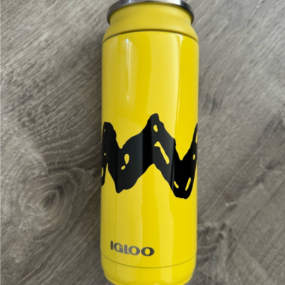 Igloo Charlie Brown Peanuts Water Bottle